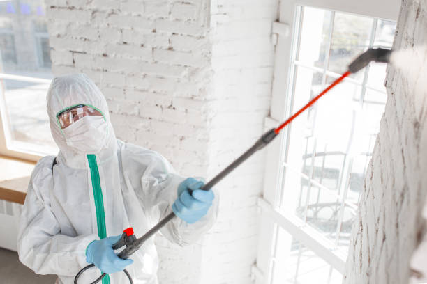 Best Asbestos and Lead Testing During Mold Inspection  in Dolgeville, NY