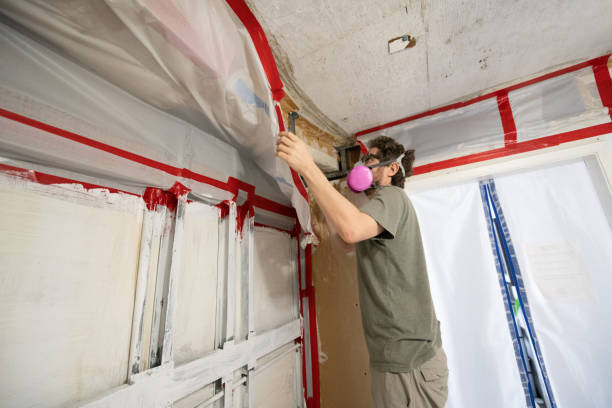 Best Mold Prevention Services  in Dolgeville, NY