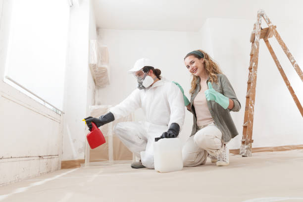 Mold Odor Removal Services in Dolgeville, NY